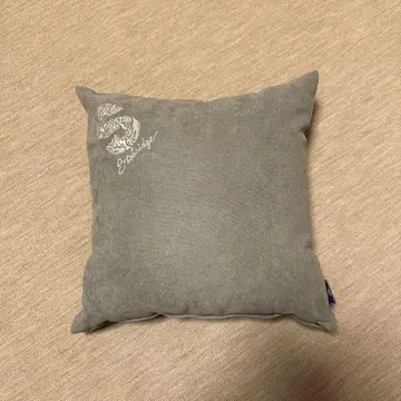 the apartment [ healthy pillow ] 쿠션