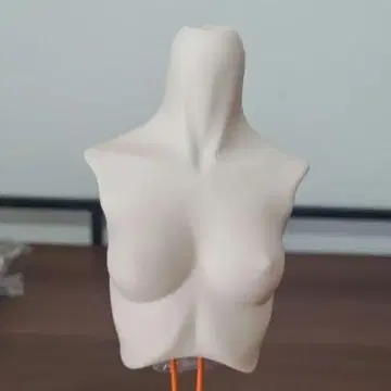 보크스 DD 상반신 부품 세미 화이트 그 1