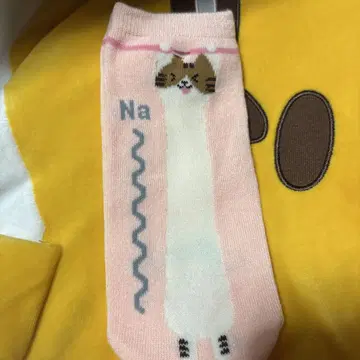 여러 가지