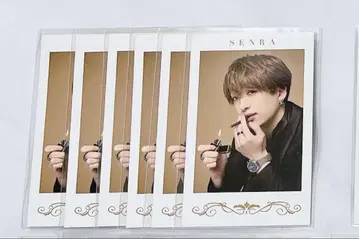 센라 폴라로이드 6장