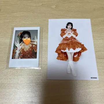 후르츠 지퍼 대특전회 하이비스커스 의상 폴라로이드 진서