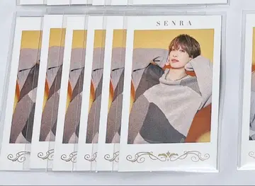 센라 폴라로이드 6장