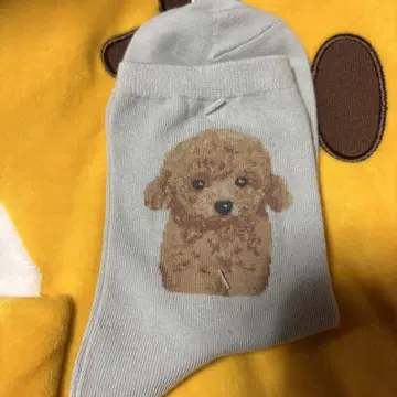여러 가지