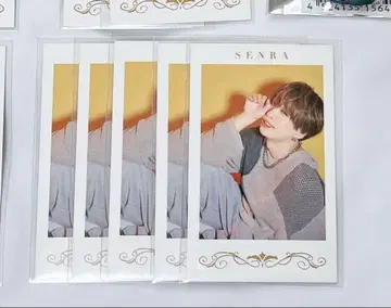 센라 폴라로이드 5장