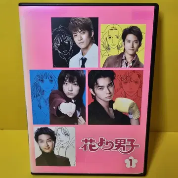 새상품 케이스 교환 꽃보다 남자 DVD 전 5권