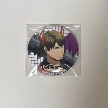 하이큐 하이드리 우시지마 와카토시 아키하바라 팝업