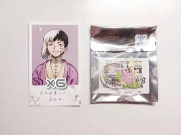Dr.stone 아사기리 겐 꽃놀이