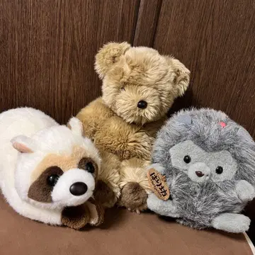 퍼스트 연대물 봉제 인형 너구리 베베 테디베어 고슴도치 하리보