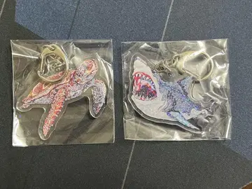 평면 수족관 바다거북 백상아리 다케시마 수족관