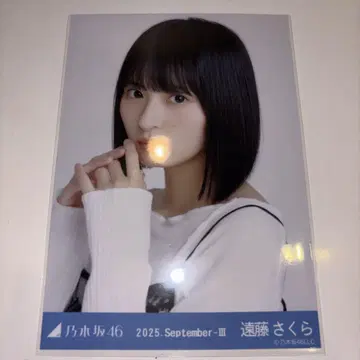 노기자카46 브로마이드 엔도 사쿠라 스팽글 요리
