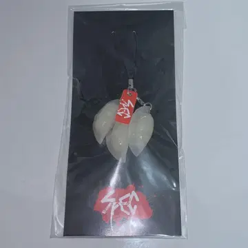 초레어 스펙 SPEC 삶은 교자 스트랩 당시품 토다 에리카