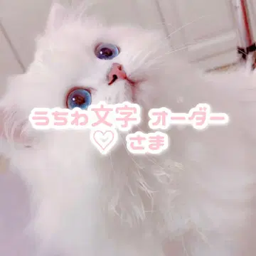 님 부채 문구 오더
