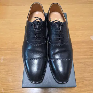스코치 그레인 24E