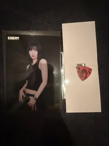 twice 월드 투어 굿즈 모모