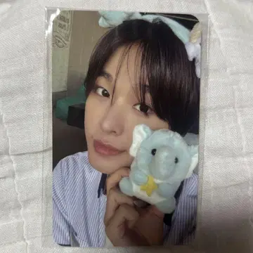 nct wish 리쿠 에버랜드 입장 혜택 트레이딩 카드