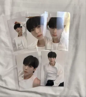 회장 한정판 사진 준소