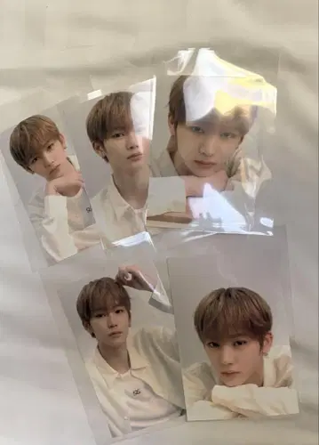회장 한정판 사진 안신