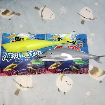 최강 리얼 바다의 생물 백상아리 돌고래