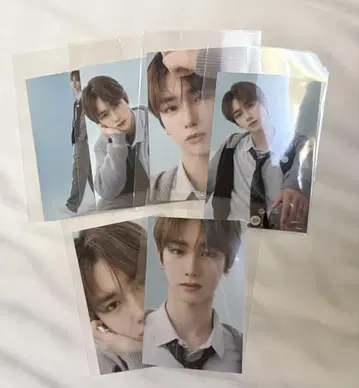 회장 한정판 사진 안신