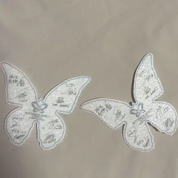 FANTASTICS BUTTERFLY EFFECT 메시지 카드 낙하물