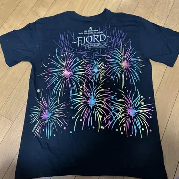FJORD ANNIVERSARY LIVE T셔츠 10주년