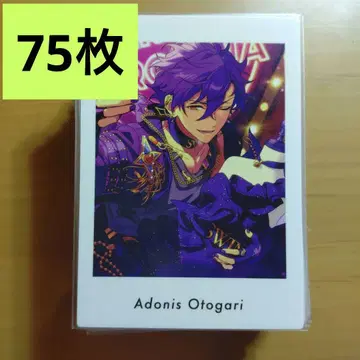 앙스타 오토카리 아도니스 파샤츠 5A 75장