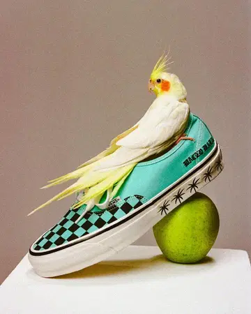 [ 미사용 새상품 ] WACOMARIA x VANS 26.5cm
