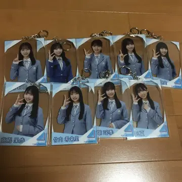 사카미치 시리즈 키링 9개 세트