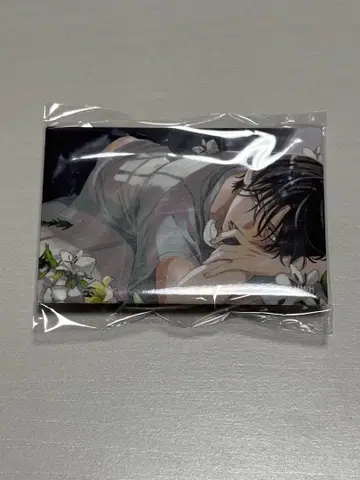 봄의 폭풍과 몬스터 봄몬 만복 가챠 직사각형 캔뱃지 아마네 하쿠