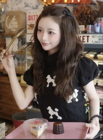 다리치 푸들 실루엣 니트탑