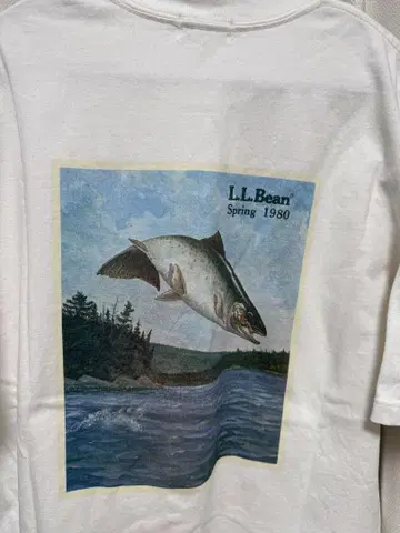 L.L.Bean 셔츠 XL