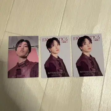 호리 나츠키 BFX BUTERFLYEFFECT 포토 카드