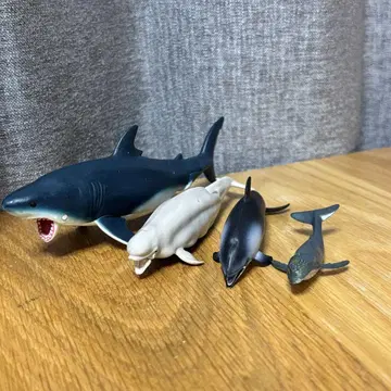 아니아 메갈로돈 벨루가 카마돌고래 피규어 TOMY