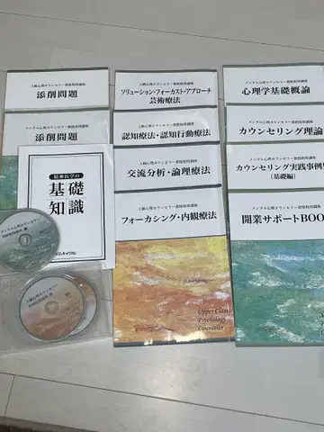 캐리카레 멘탈 종합 심리 W 자격요건 취득 강좌 세트 DVD 포함