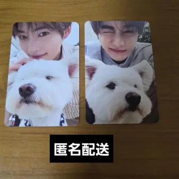 제베원 데지파 봉입 레오 강아지 트레이딩 카드 하오 한빈 하오빈