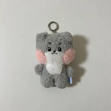 ZB1 zeroni 고니니 봉제 인형