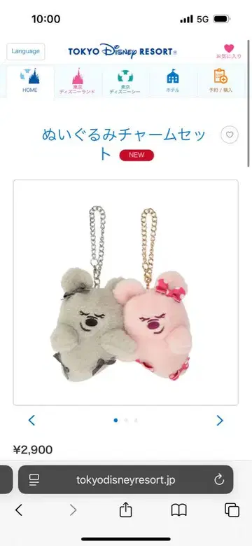 스톰 라이더 핀 배지