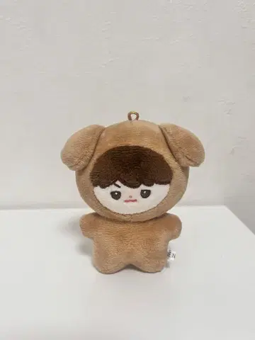 ZB1 제베원 규빈 마스터님 제작 봉제 인형