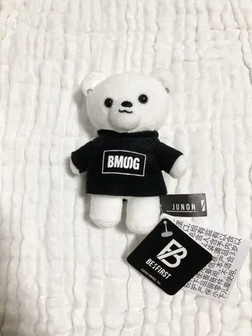 [ 익명 배송 ] JUNON 곰 BE:FIRST