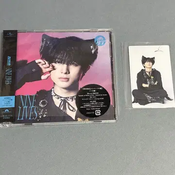 초특급 NINE LIVES CD 트레이딩 카드 솔로반 하루
