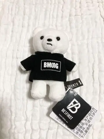 [ 익명 배송 ] SHUNTO 곰 BE:FIRST