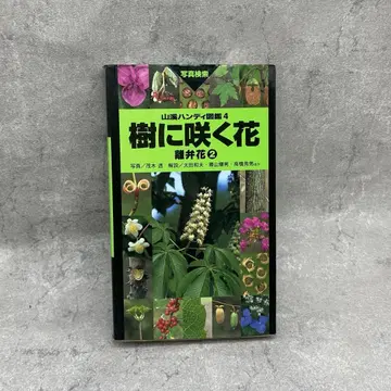 나무에 피는 꽃 이판화 2