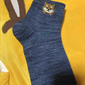 여러 가지