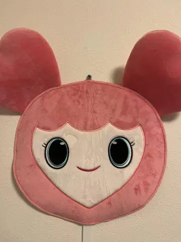 MOMO 부채 커버