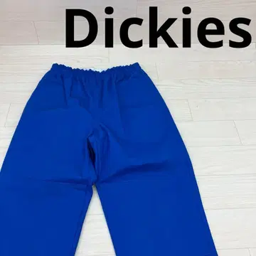 Dickies 디키즈 더블니 셰프 팬츠