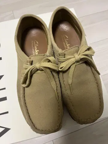 Clarks 왈라비