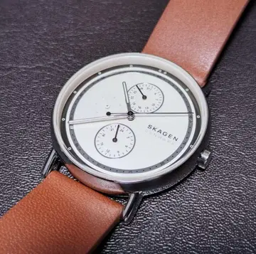 스카겐 SKAGEN 시그니처 멀티펑션
