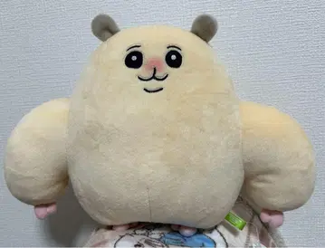 근육질 햄 쾌활한 강아지고양이 BIG 봉제 인형 라운드원 한정판