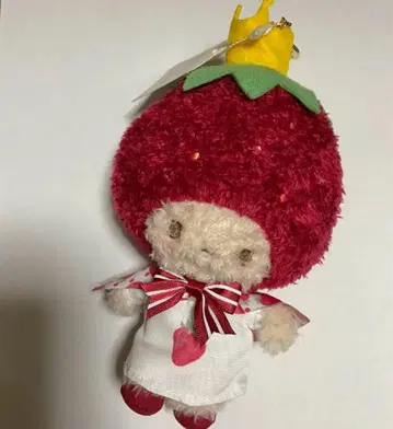 Maison de FLEUR 딸기신문 딸기의 왕님 참