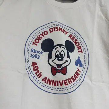 도쿄 디즈니 리조트 40주년 셔츠 컨버스 콜라보 레어